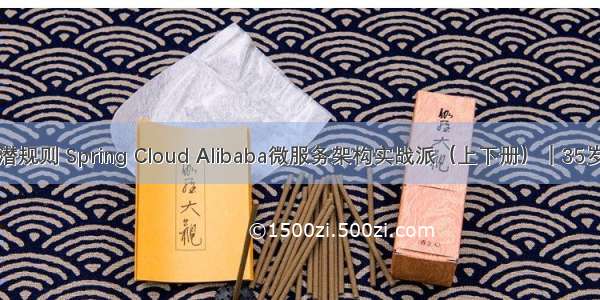 防止内卷和被潜规则 Spring Cloud Alibaba微服务架构实战派（上下册）｜35岁程序员那些事