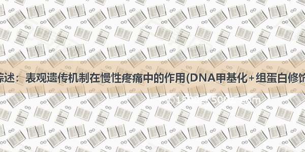 易基因｜深度综述：表观遗传机制在慢性疼痛中的作用(DNA甲基化+组蛋白修饰+非编码RNA)