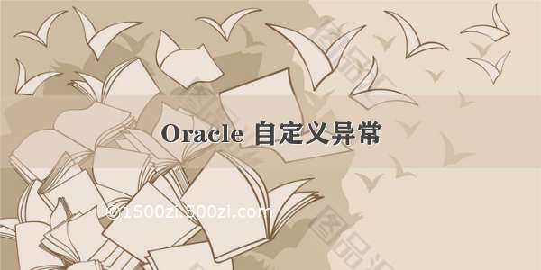 Oracle 自定义异常