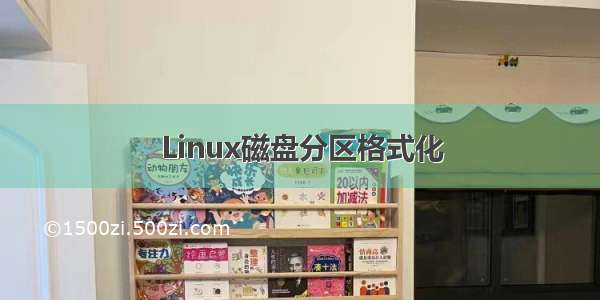 Linux磁盘分区格式化