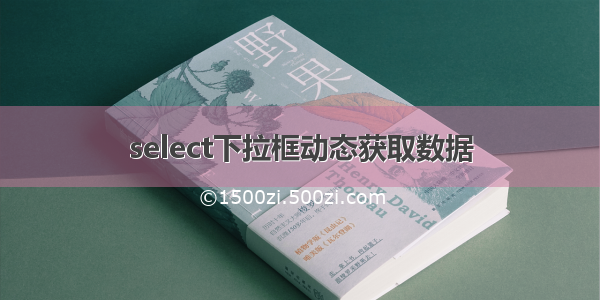 select下拉框动态获取数据