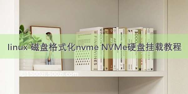 linux 磁盘格式化nvme NVMe硬盘挂载教程