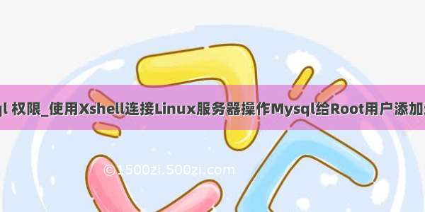 xshell mysql 权限_使用Xshell连接Linux服务器操作Mysql给Root用户添加远程访问权限