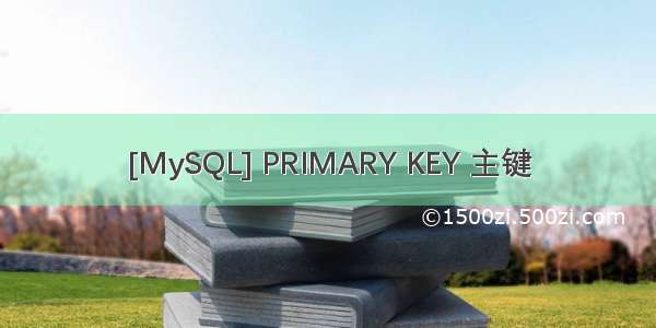 [MySQL] PRIMARY KEY 主键