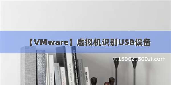 【VMware】虚拟机识别USB设备