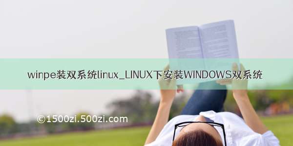 winpe装双系统linux_LINUX下安装WINDOWS双系统