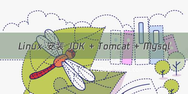 Linux 安装 JDK + Tomcat + Mysql