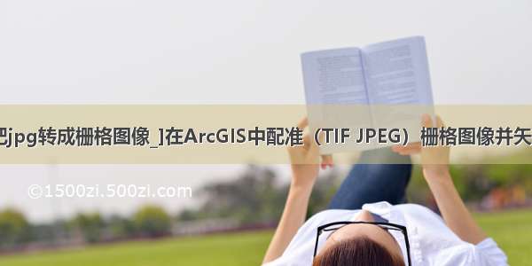 arcgis把jpg转成栅格图像_]在ArcGIS中配准（TIF JPEG）栅格图像并矢量化(转)