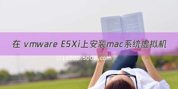 在 vmware ESXi上安装mac系统虚拟机