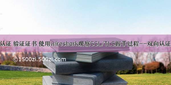 c语言 tls单向认证 验证证书 使用wireshark观察SSL/TLS握手过程--双向认证/单向认证...