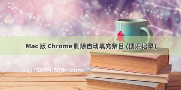 Mac 版 Chrome 删除自动填充条目 (搜索记录)