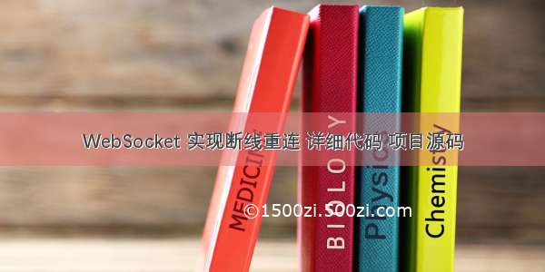 WebSocket 实现断线重连 详细代码 项目源码