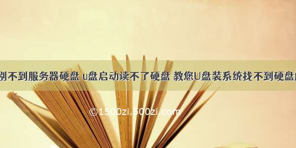 u盘启动识别不到服务器硬盘 u盘启动读不了硬盘 教您U盘装系统找不到硬盘解决方法...