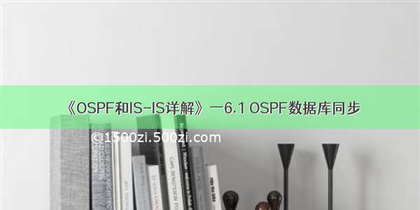 《OSPF和IS-IS详解》一6.1 OSPF数据库同步