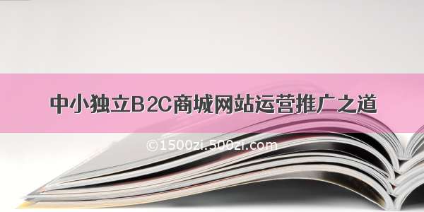 中小独立B2C商城网站运营推广之道