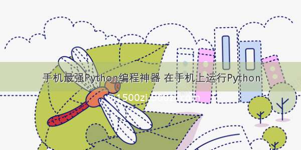 手机最强Python编程神器 在手机上运行Python