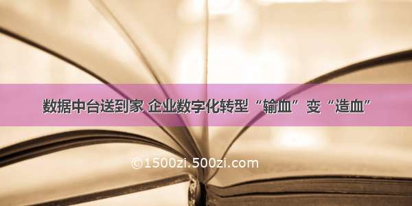 数据中台送到家 企业数字化转型“输血”变“造血”