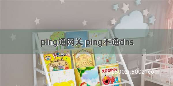 ping通网关 ping不通dns