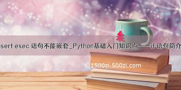 insert exec 语句不能嵌套_Python基础入门知识点——if 语句简介