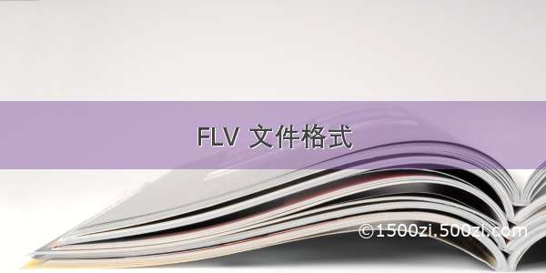 FLV 文件格式