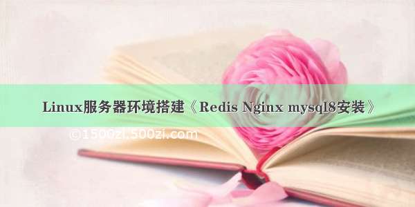 Linux服务器环境搭建《Redis Nginx mysql8安装》