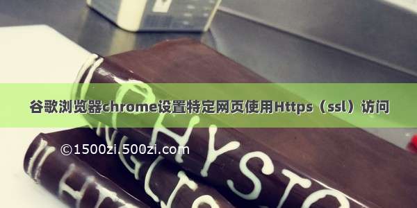 谷歌浏览器chrome设置特定网页使用Https（ssl）访问