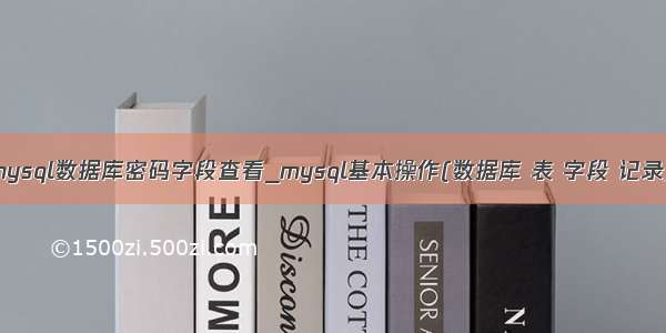 mysql数据库密码字段查看_mysql基本操作(数据库 表 字段 记录)