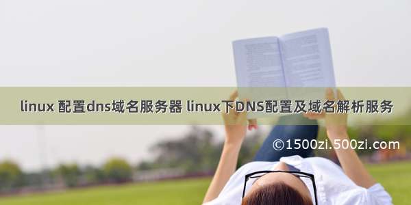 linux 配置dns域名服务器 linux下DNS配置及域名解析服务