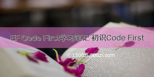 EF Code First学习笔记 初识Code First