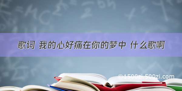 歌词 我的心好痛在你的梦中 什么歌啊