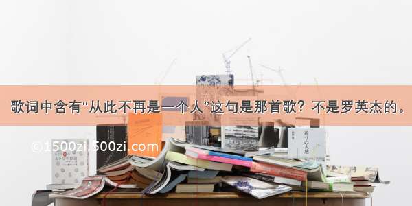 歌词中含有“从此不再是一个人”这句是那首歌？不是罗英杰的。