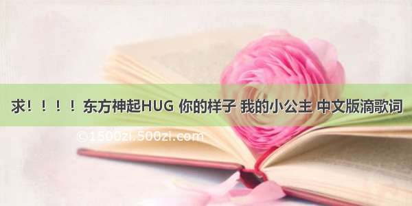 求！！！！东方神起HUG 你的样子 我的小公主 中文版滴歌词