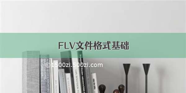 FLV文件格式基础