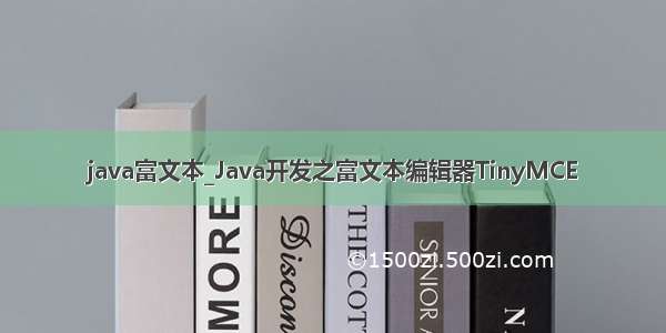 java富文本_Java开发之富文本编辑器TinyMCE