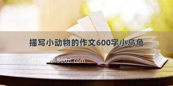 描写小动物的作文600字小乌龟