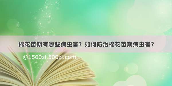 棉花苗期有哪些病虫害？如何防治棉花苗期病虫害？