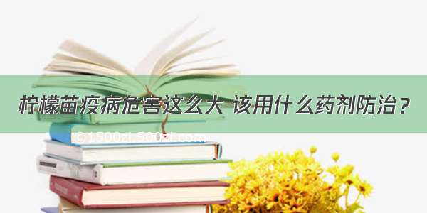 柠檬苗疫病危害这么大 该用什么药剂防治？