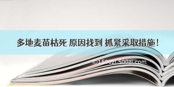 多地麦苗枯死 原因找到 抓紧采取措施！