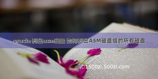 oracle 列出asm磁盘 如何列出ASM磁盘组的所有磁盘