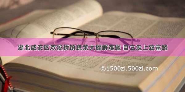 湖北咸安区双溪桥镇蔬菜大棚解难题 自立走上致富路