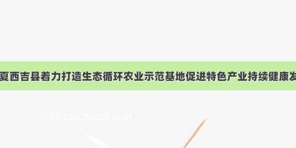 宁夏西吉县着力打造生态循环农业示范基地促进特色产业持续健康发展