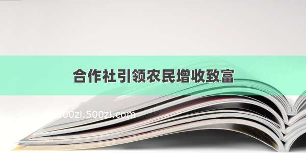 合作社引领农民增收致富