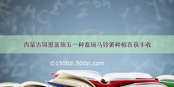 内蒙古锡盟蓝旗五一种畜场马铃薯种植喜获丰收