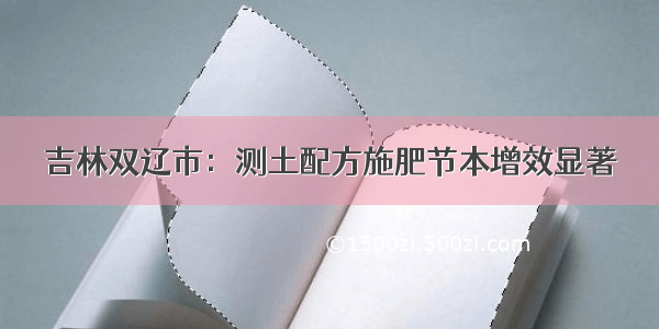 吉林双辽市：测土配方施肥节本增效显著