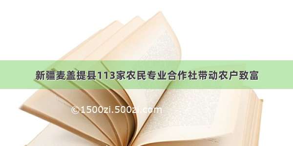 新疆麦盖提县113家农民专业合作社带动农户致富