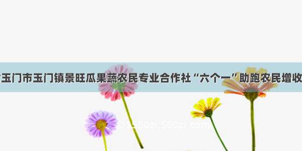 甘肃玉门市玉门镇景旺瓜果蔬农民专业合作社“六个一”助跑农民增收致富