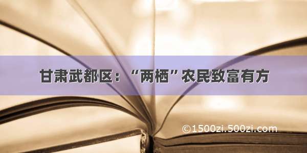 甘肃武都区：“两栖”农民致富有方