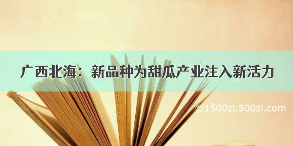 广西北海：新品种为甜瓜产业注入新活力