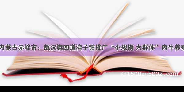 内蒙古赤峰市：敖汉旗四道湾子镇推广“小规模 大群体”肉牛养殖