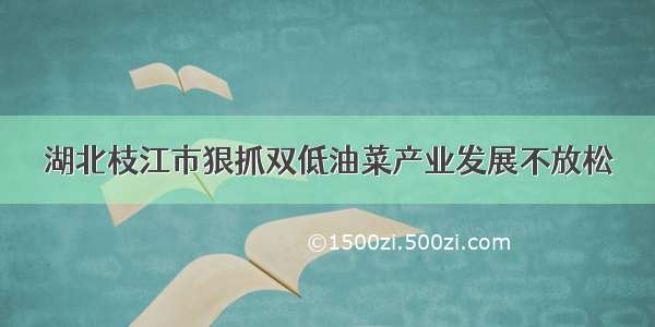 湖北枝江市狠抓双低油菜产业发展不放松